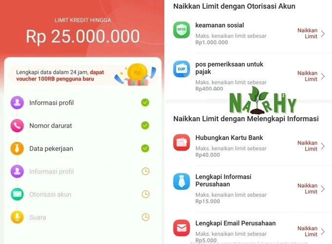 Tips & Trik mendapatkan Limit Besar dan Tenor Panjang di Bank Rakyat Indonesia Paylater